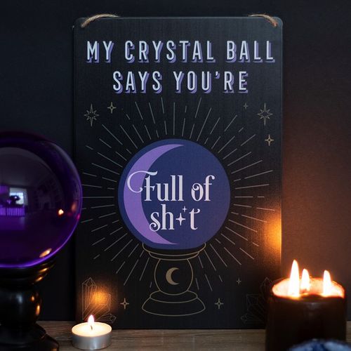 My Crystal Ball Says You're Full of Shit Hanging Metal Sign