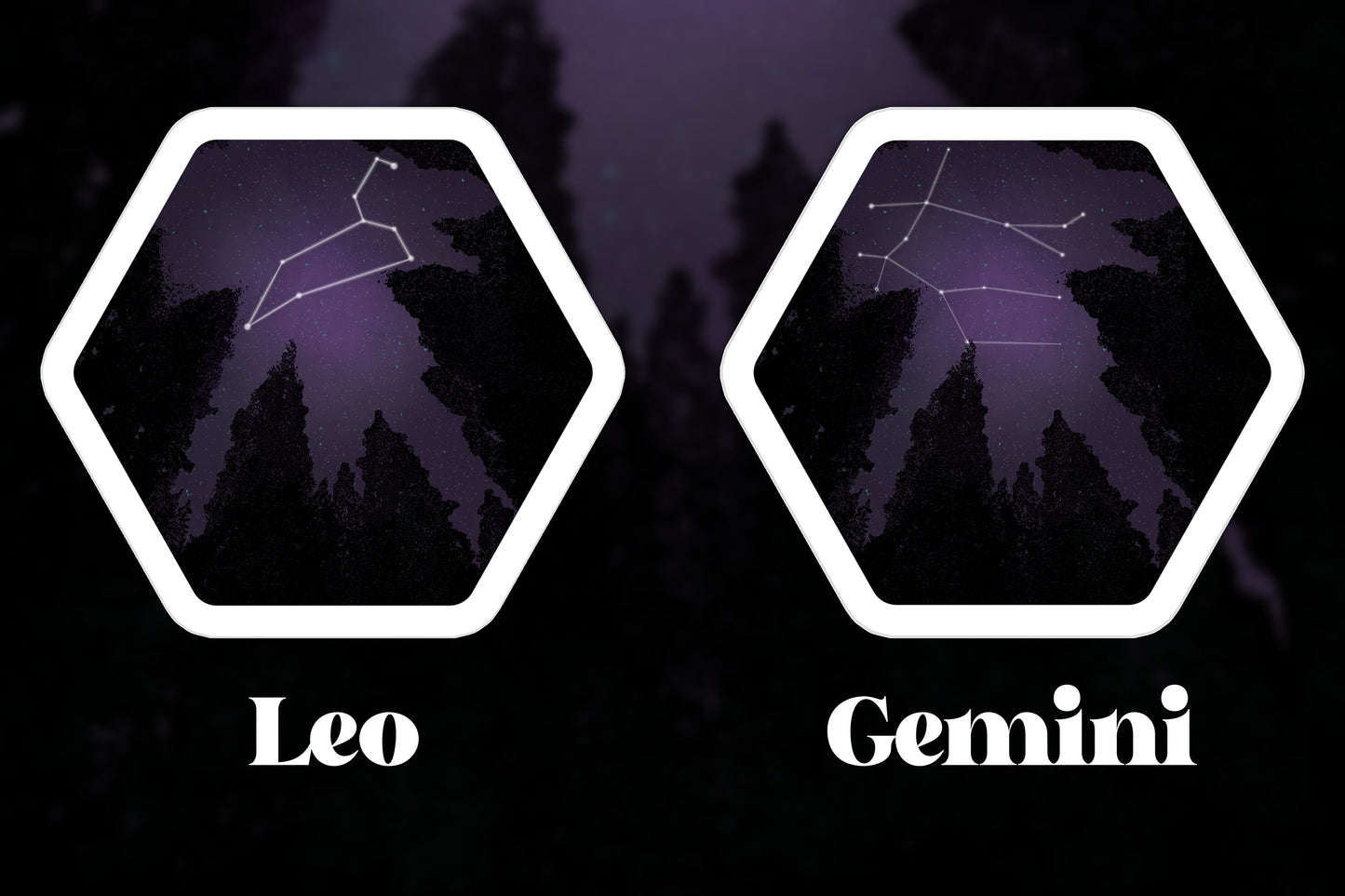 Zodiac Constellation Sticker